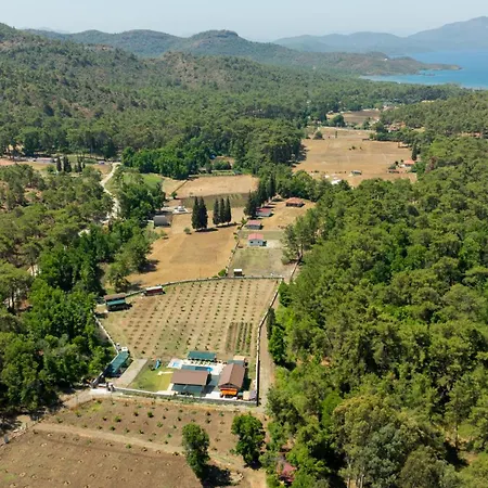 Sora No Mori Village Alloggio in famiglia Marmaris
